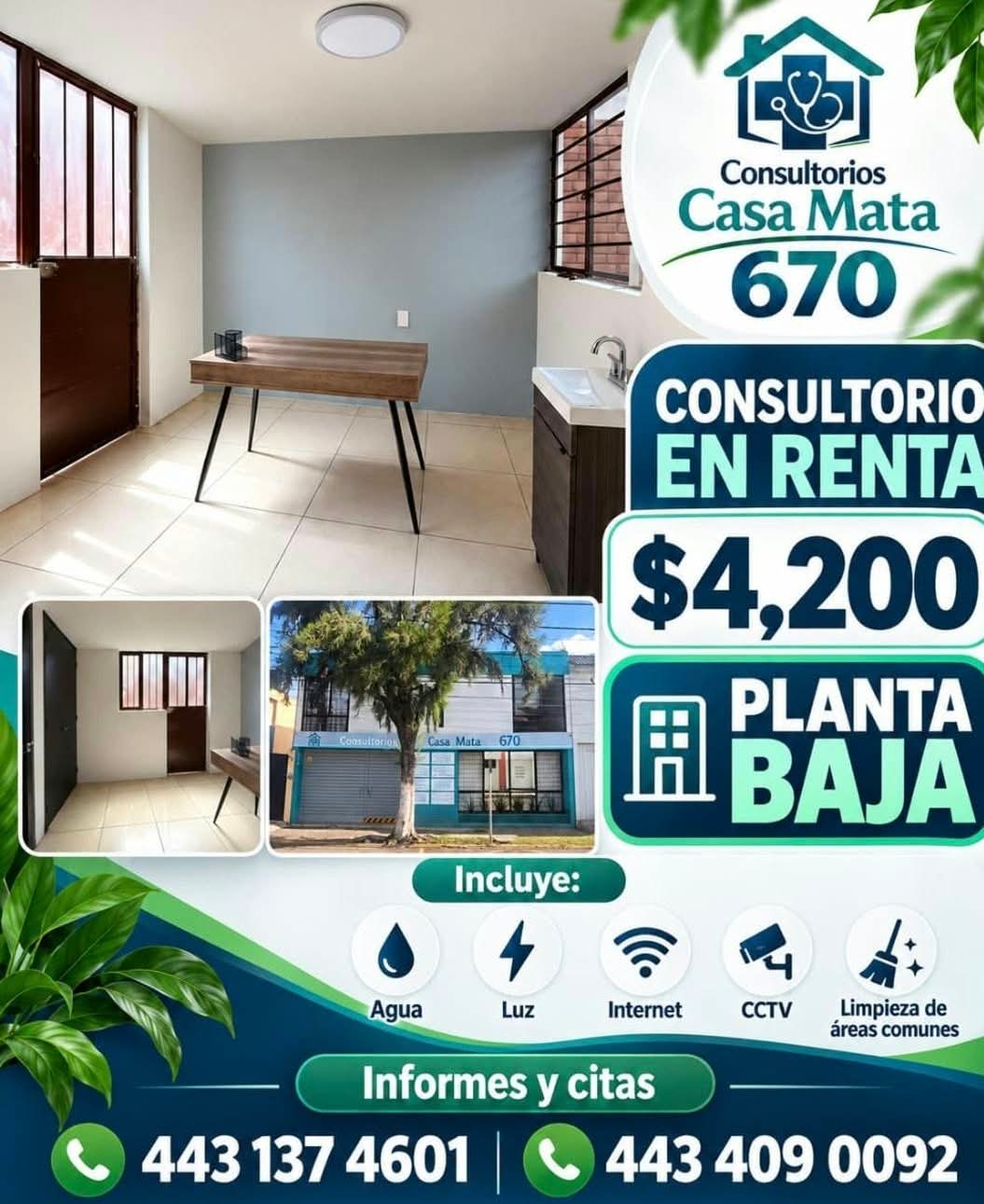 Consultorio en renta — planta baja, Casa Mata 670