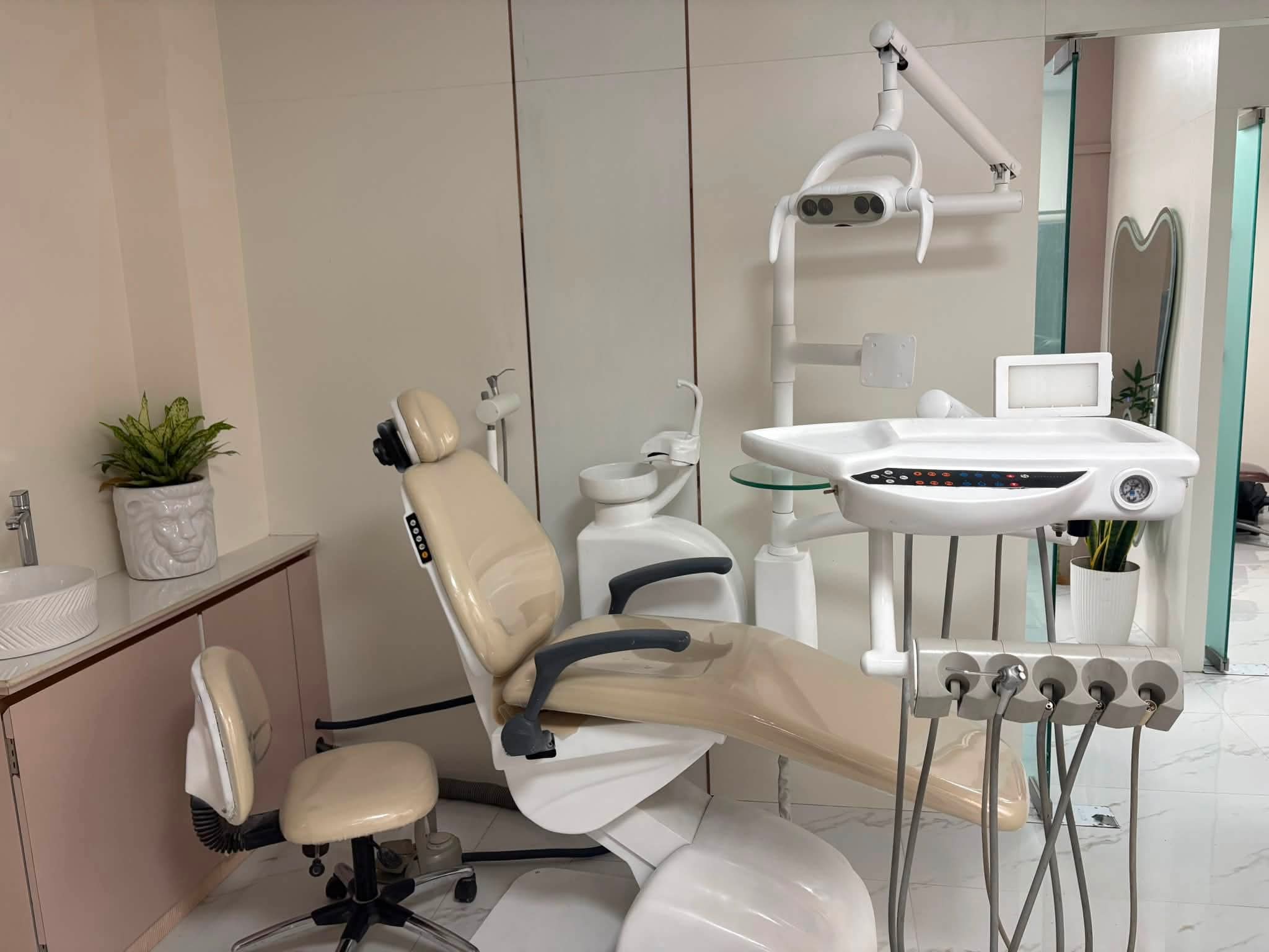 Chesa dental chair — 3 years old, excellent condition